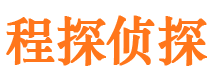 平远调查公司